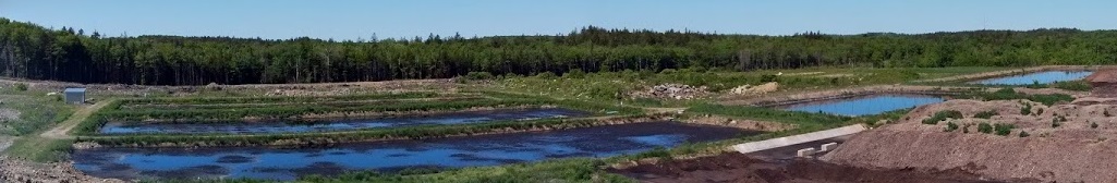 Panoramic view of site with only cells - cropped